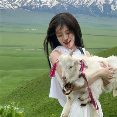 我的抗战之铁血轻奇兵